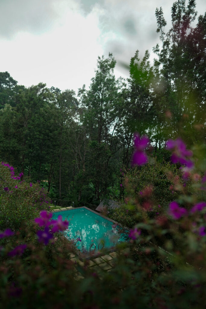 private pool villa in munnar