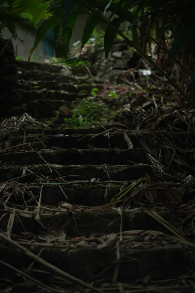 Couples villa stay Munnar