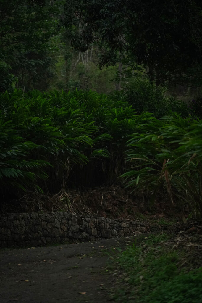 Private villa stay in Munnar for families and friends